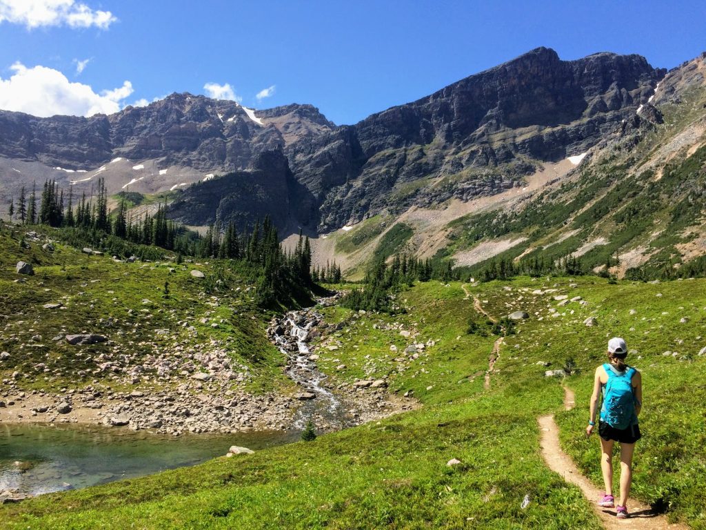 Highway 1 is OPEN to Golden BC 20202023 No Summer Road Closures