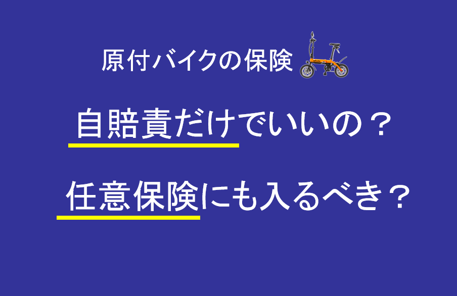 65 歳 年金 手続き 🍓老齢基礎年金｜くらし・手続き｜むつ市 sharedcontent.toyota.co.nz