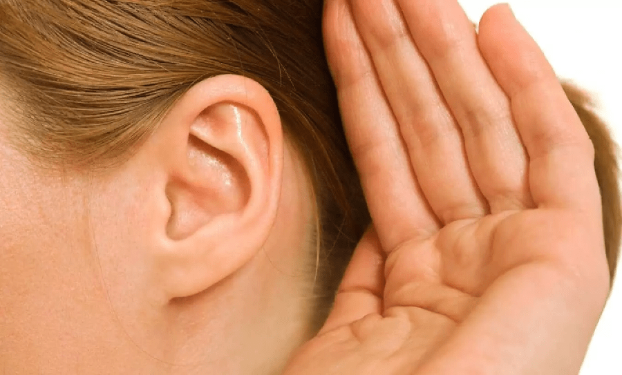 The Ear How it Works & Common Causes of Hearing Loss Glamm Health
