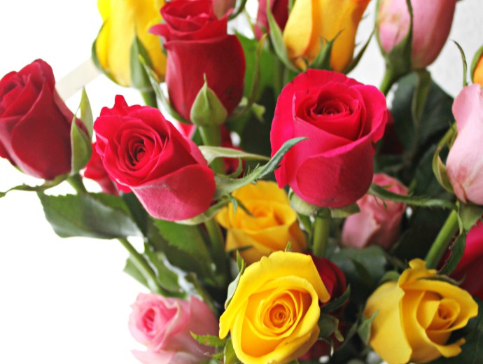 Free Flowers for Valentine's Day from ProFlowers Glamorable