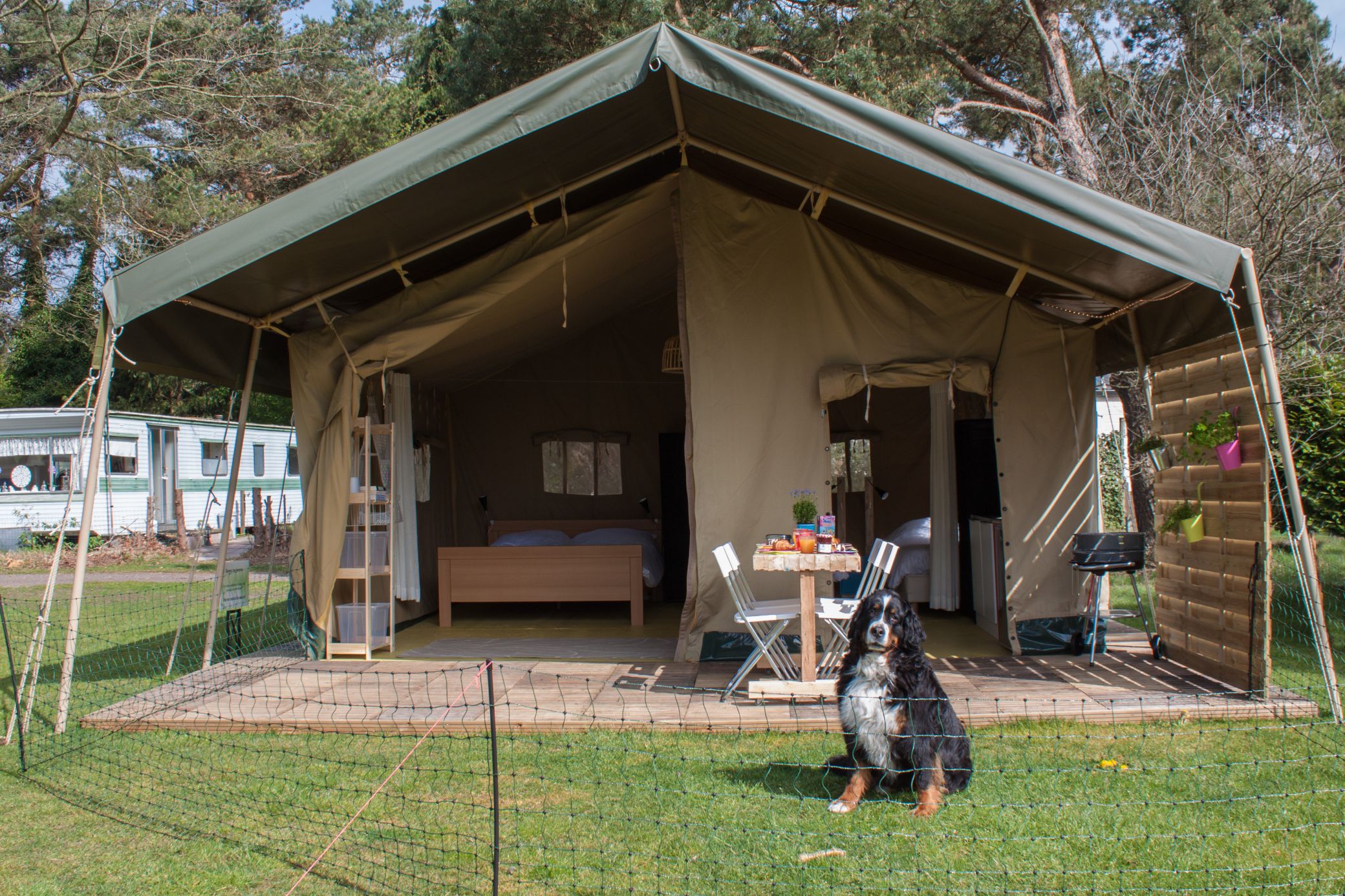 Verzichte auch im Urlaub nicht auf deine geliebten Vierbeiner! Glampings