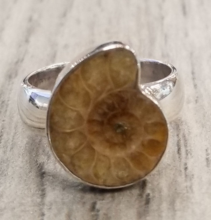 Ammonite fossil and sterling silver handmade ring Size 7 Jewelry by