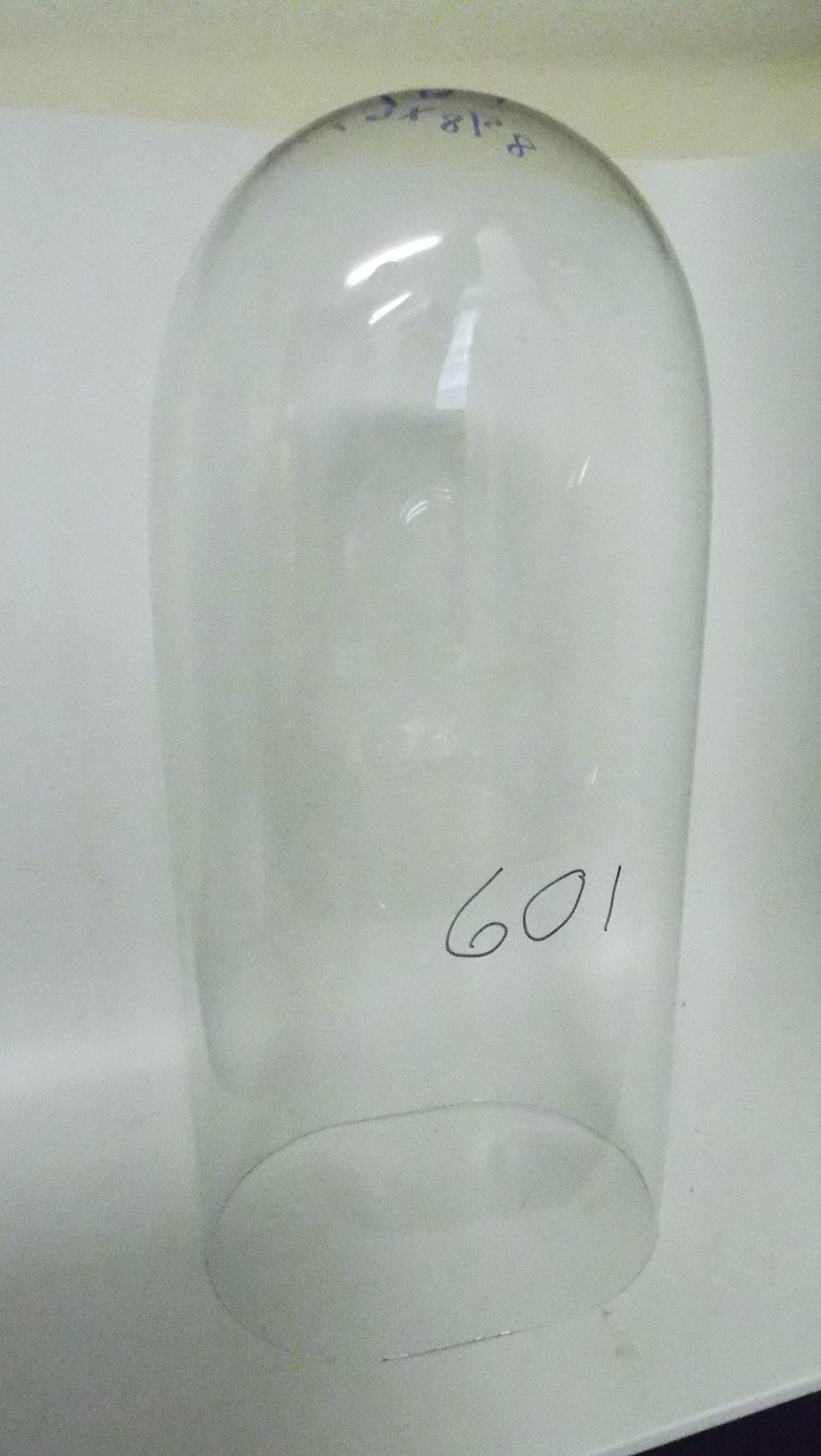 Antique Oval Glass Dome, oval dome, Victorian dome