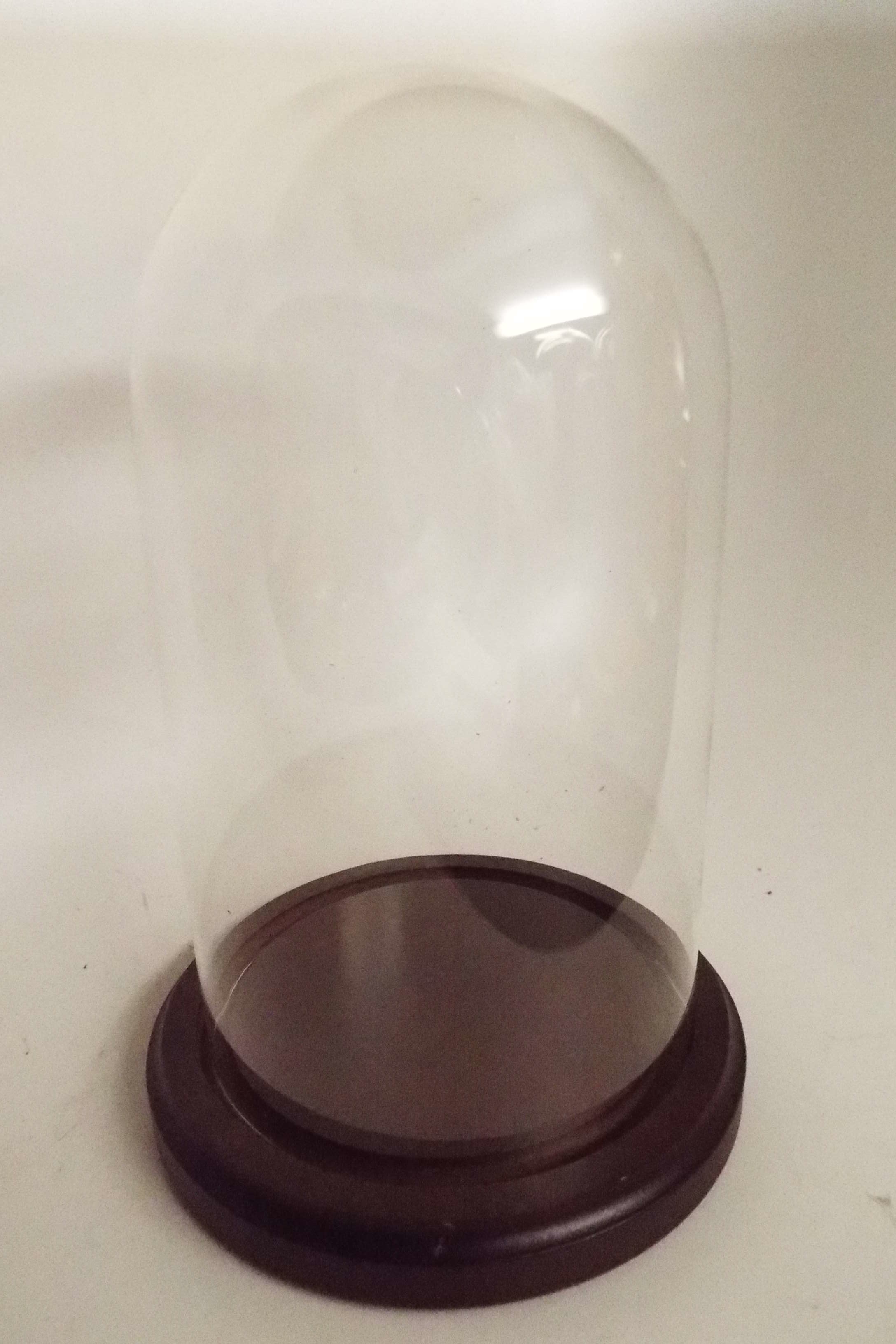 Round Glass Dome, antique clock dome, antique domes