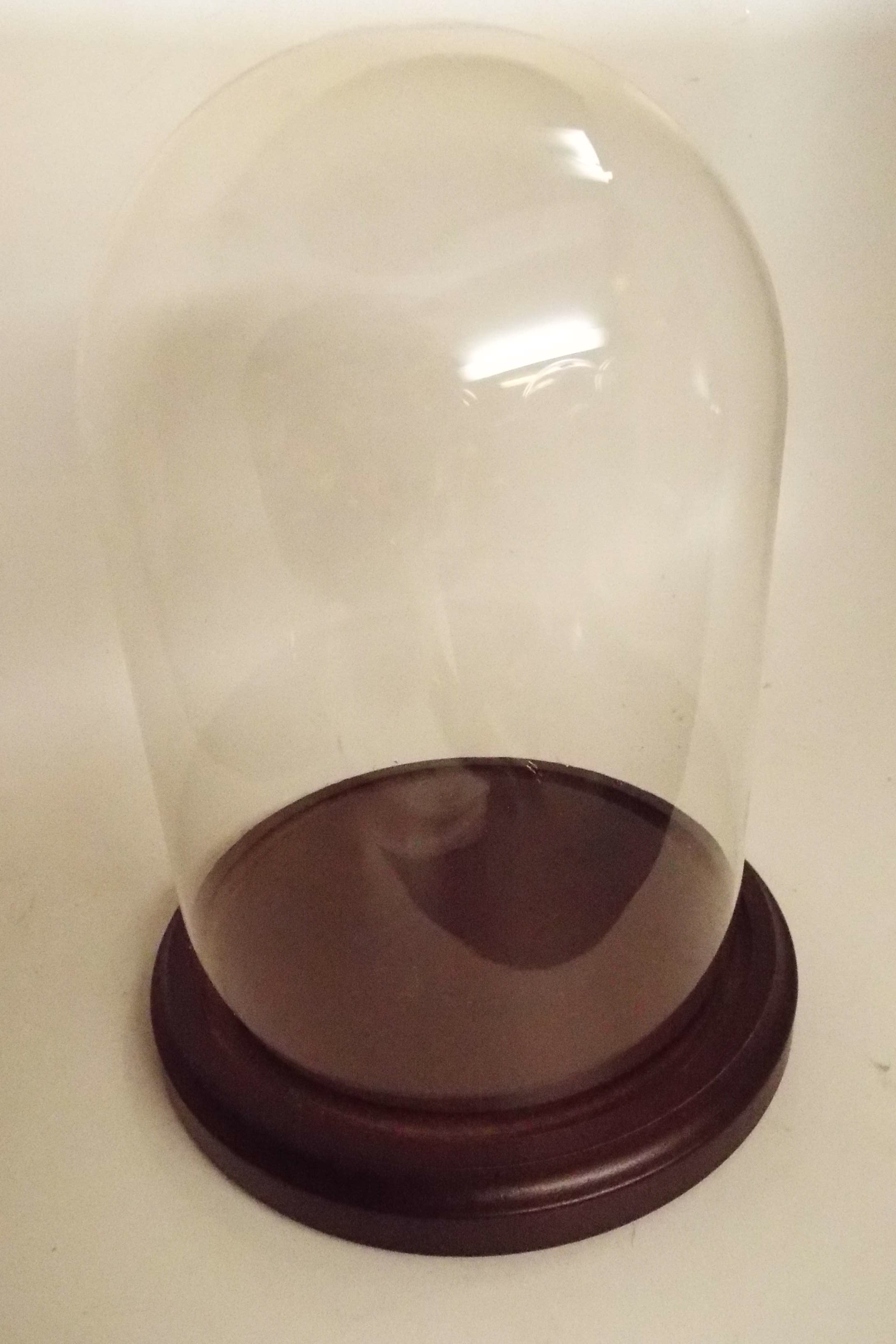 Round Glass Dome, antique clock dome, antique domes