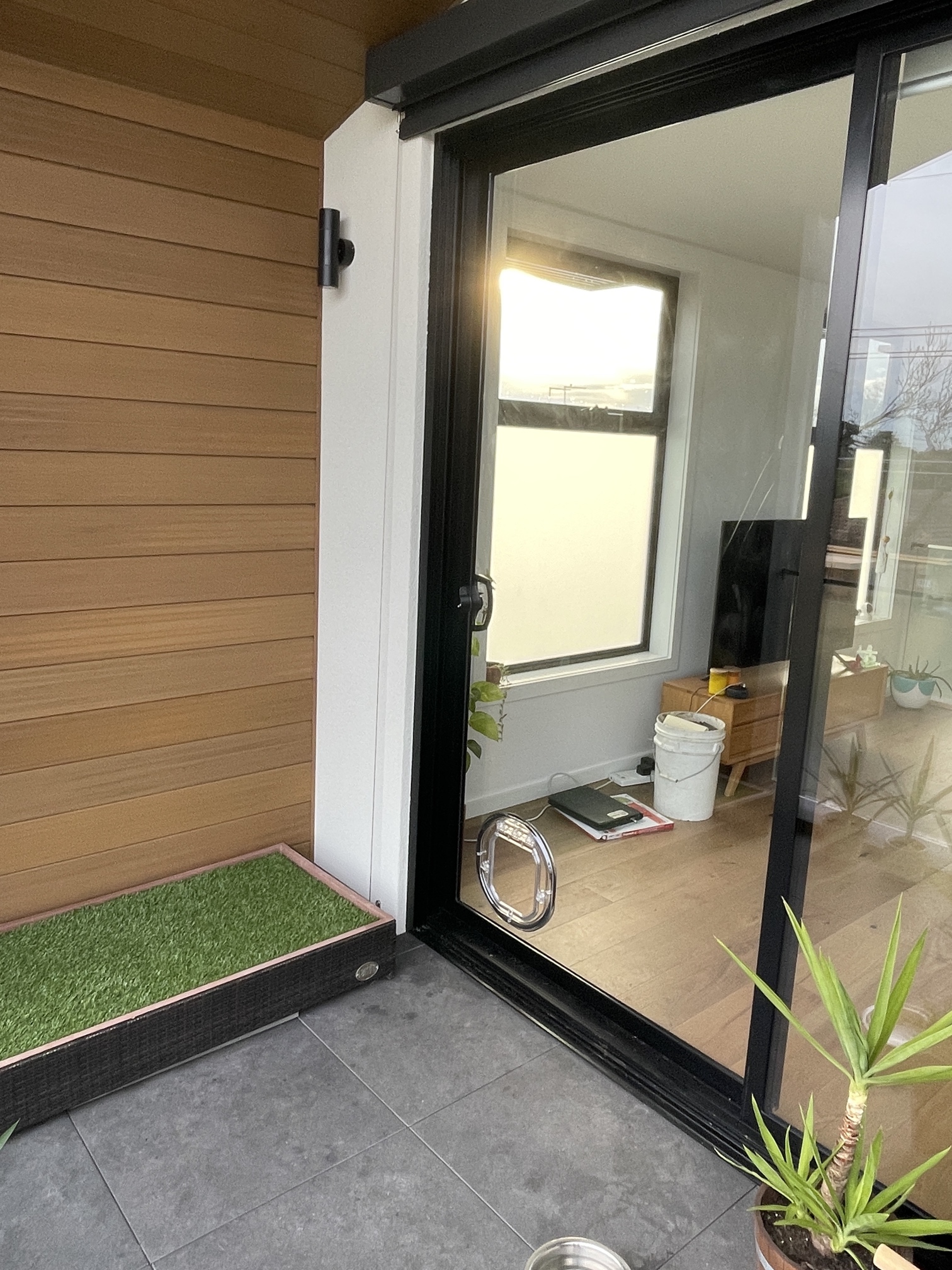 What Is The Best Wall Dog Door