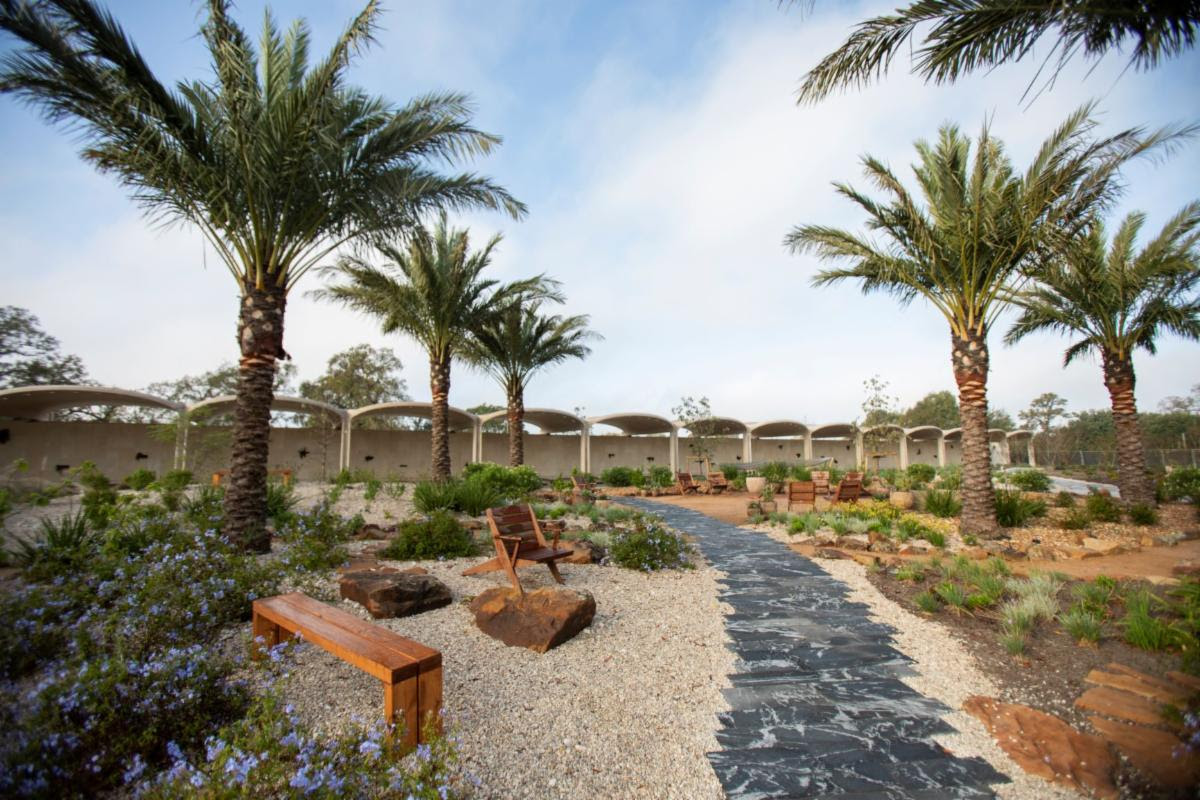 Lawndale Art Center and Houston Botanic Garden Join to Announce Open