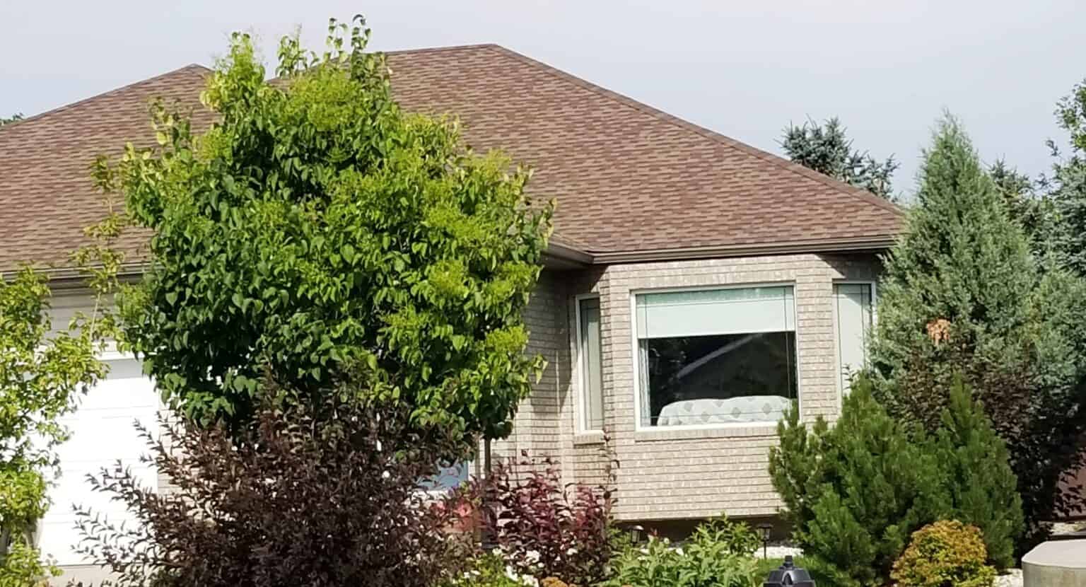 Large Picture Window, Affordable Luxury, Pros and Cons