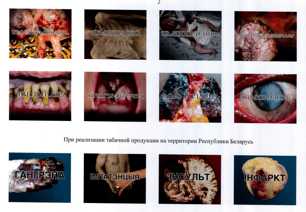 Ассортимент типов рака Дизайнер Александр Глазунов
