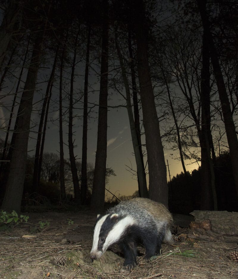 Light Pollution Geneva Lake Dark Sky Initiative