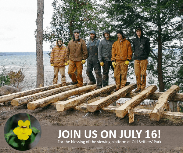 Old Settlers Park Glen Arbor Sun