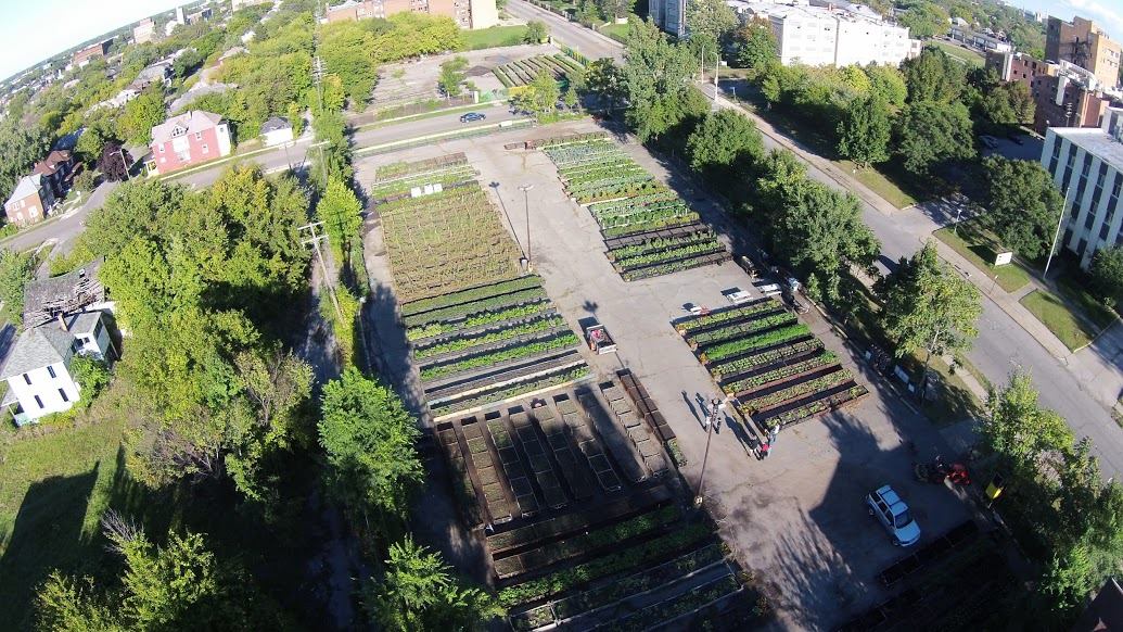 Muslims approach Leelanau songster for help in Detroit Glen Arbor Sun
