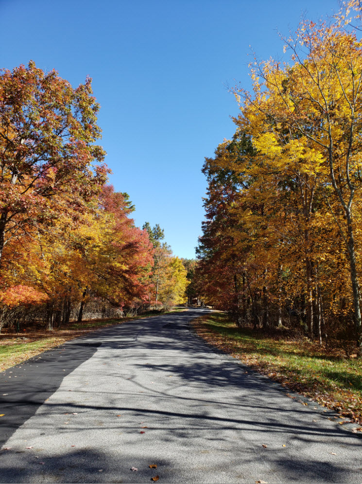 Community Gallery The Glen At Tamiment