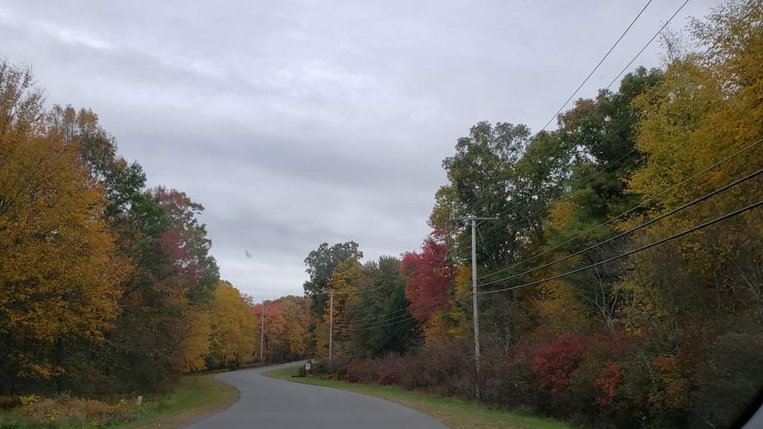 Community Gallery The Glen At Tamiment