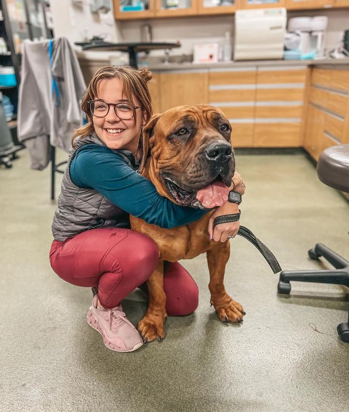 Experienced Veterinarians Animal Hospital in Glen Burnie