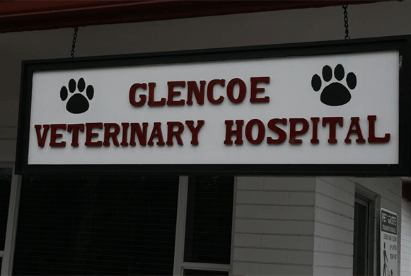 Take a Tour of our New Smyrna Beach Veterinary Hospital
