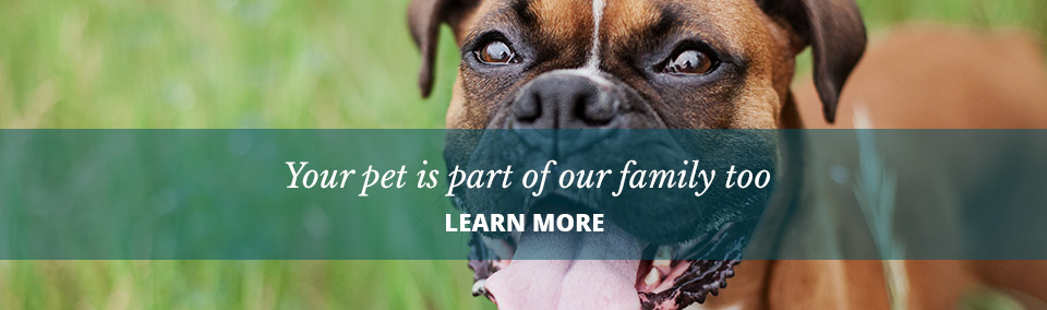 Veterinarians New Smyrna Beach, Fl Glencoe Veterinary Hospital