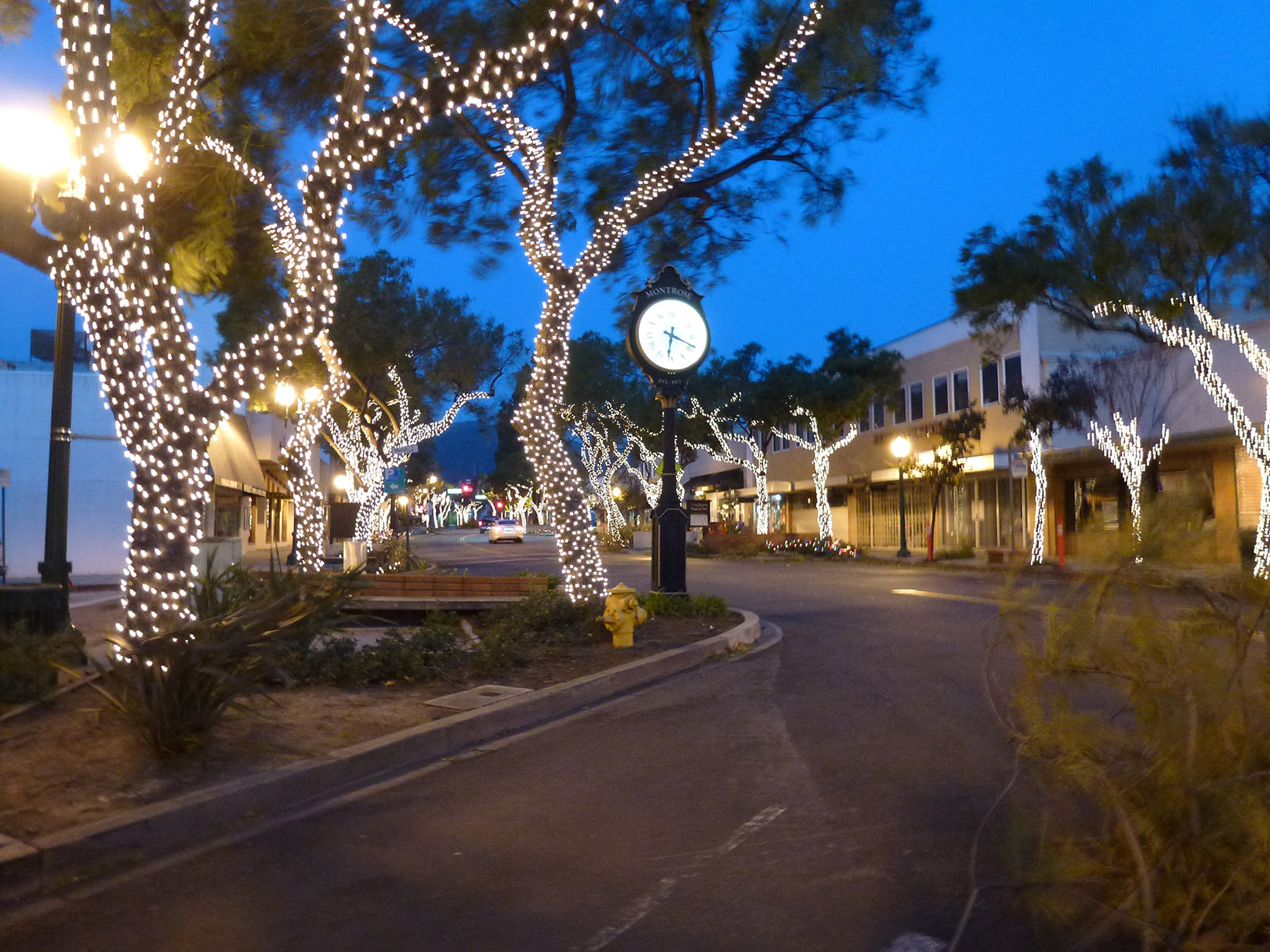 Discover Montrose Shopping Park Glendale DIGGS 818.396.7588