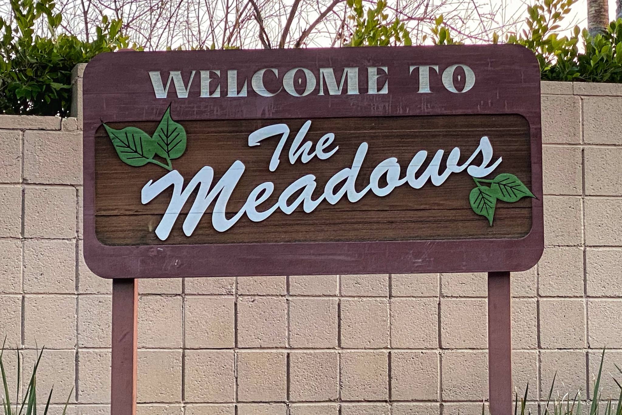 The Meadows Homes For Sale Glendale DIGGS 818.396.7588