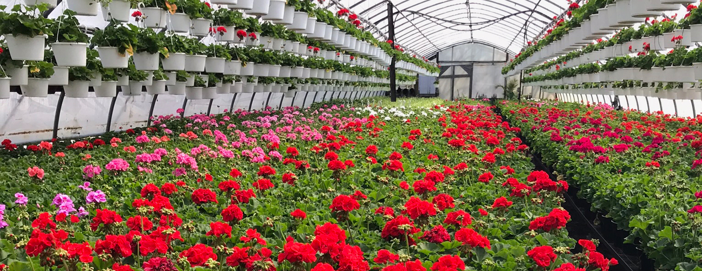 garden centers in milford ct Thru Journal Fonction