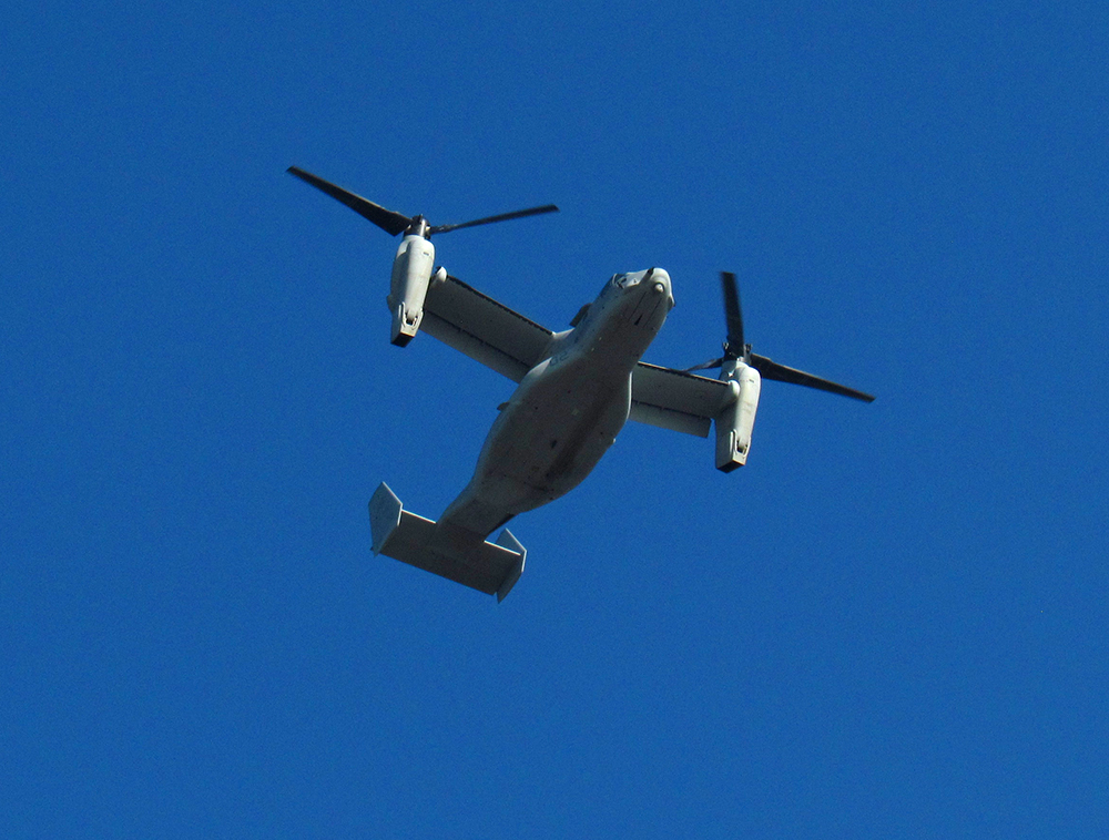 SNAPSHOT Ospreys Make An Appearance Over Glendora Glendora City News