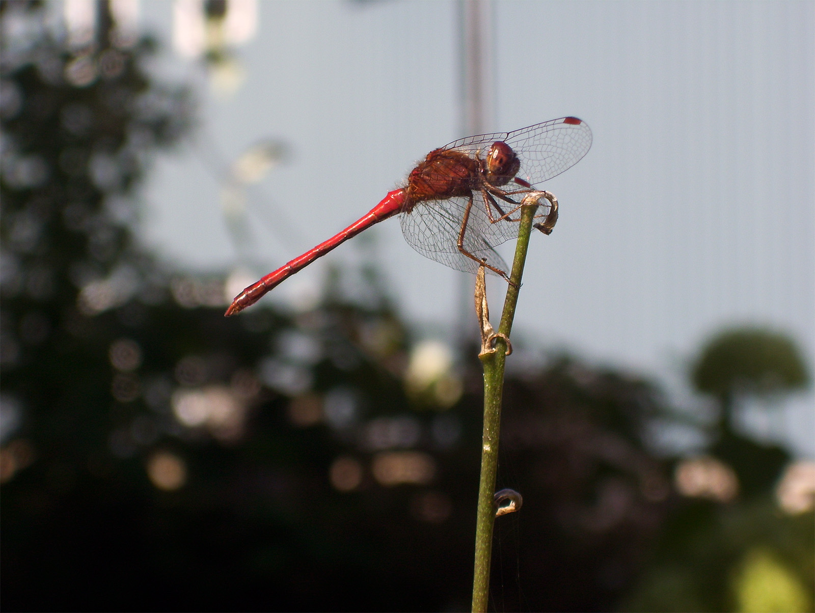 The Glengarry Trails Friends of Glengarry Trails Association