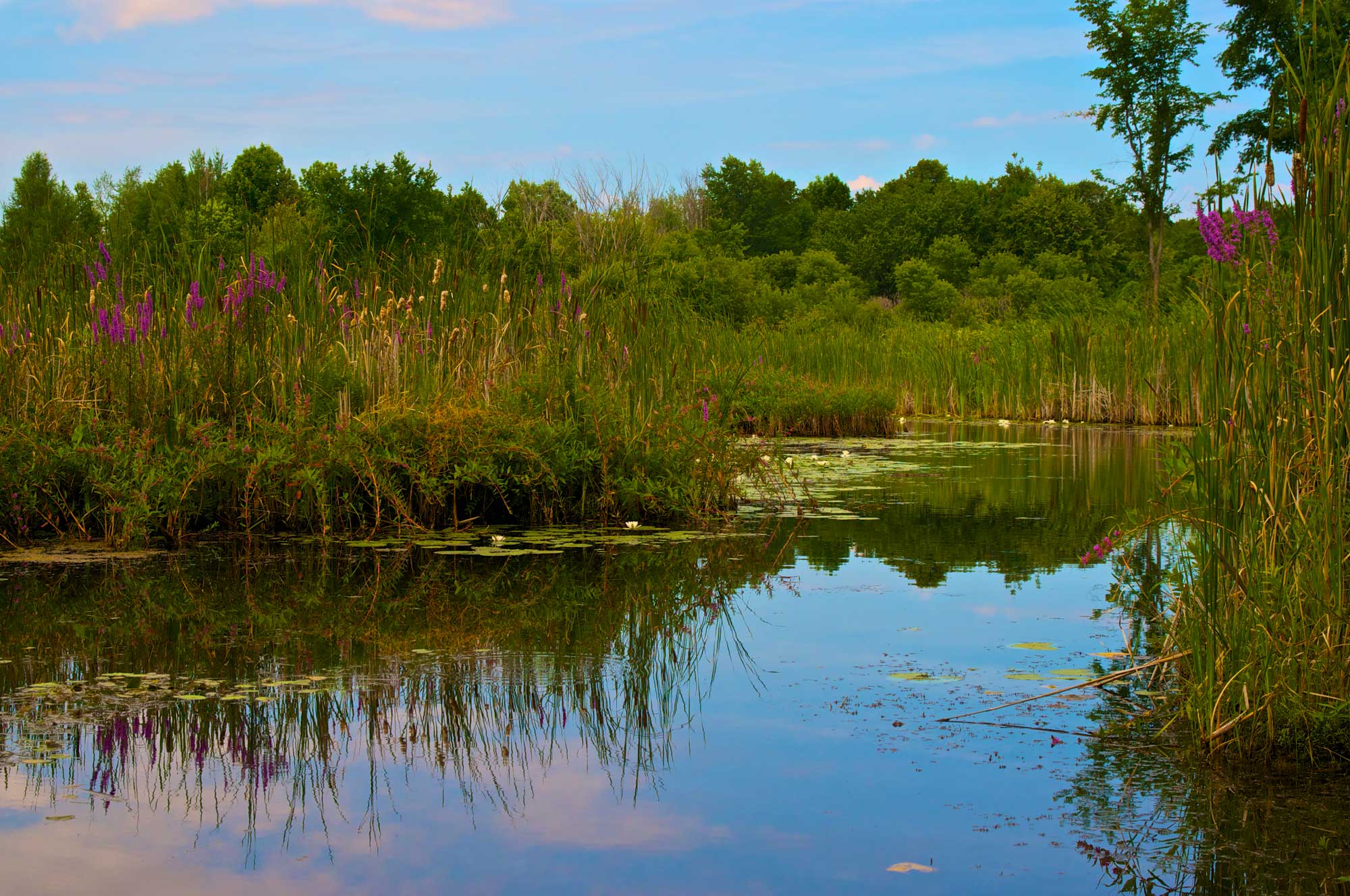 The Glengarry Trails Friends of Glengarry Trails Association
