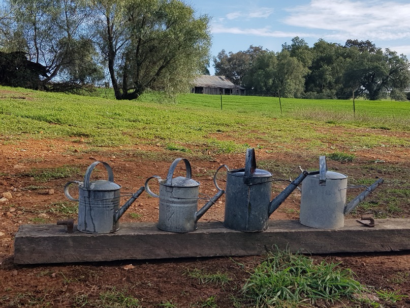 Watering Your Garden in Winter GleniceBuckDesigns