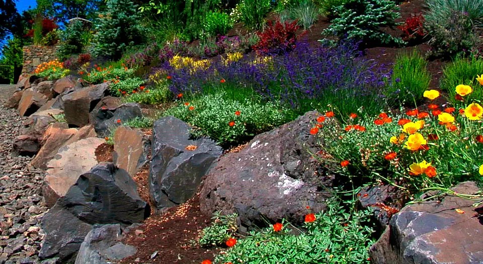 Eugene Landscaping Company Glenn Landscape Eugene, Oregon