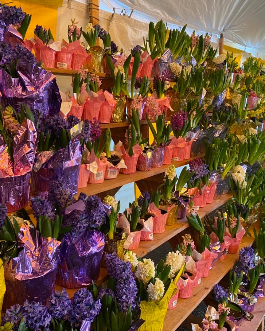 Glenolden Fire Company Flower Sales Glenolden Fire Department