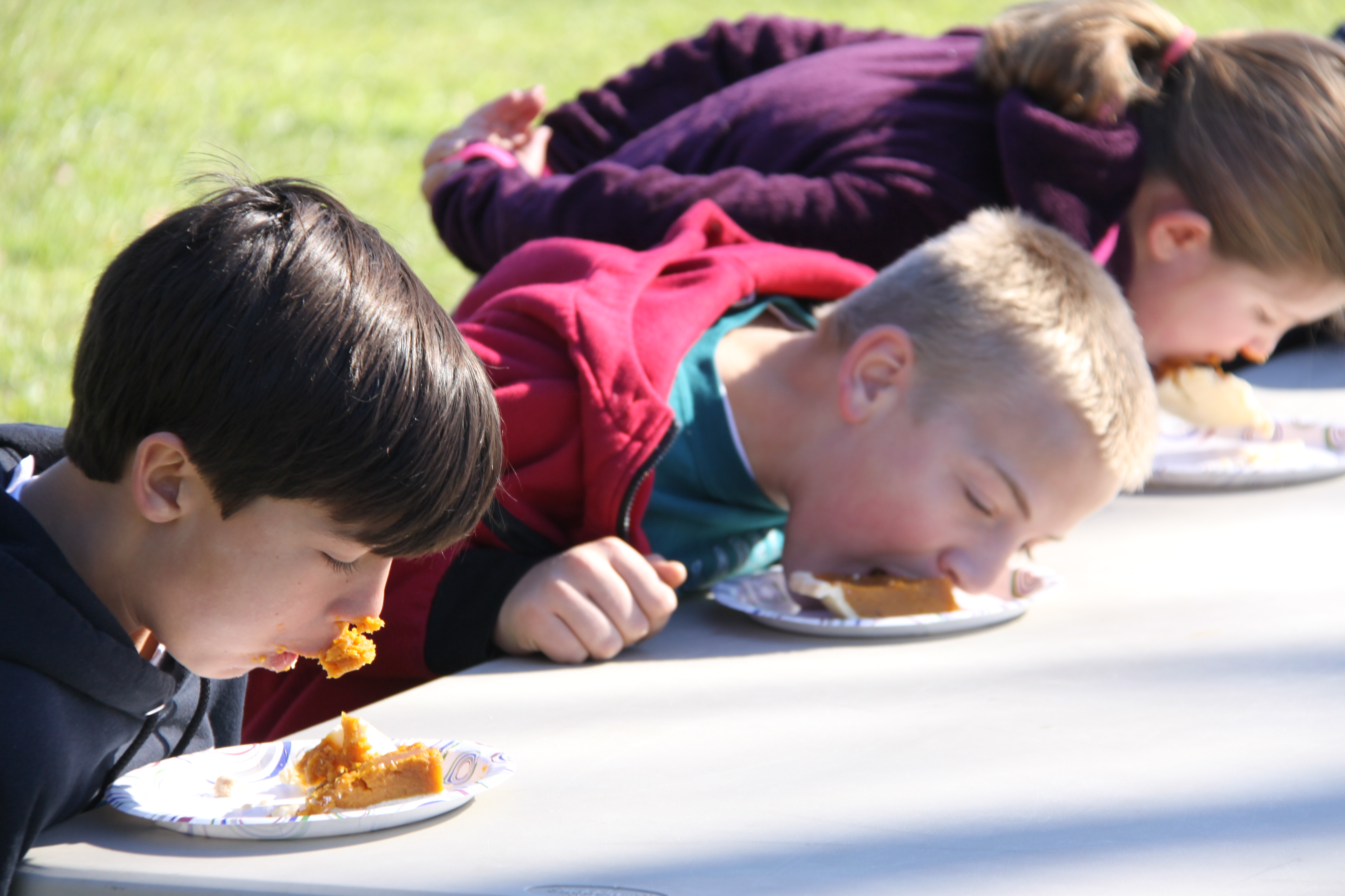 Photo Gallery Glen Run Valley View Farm