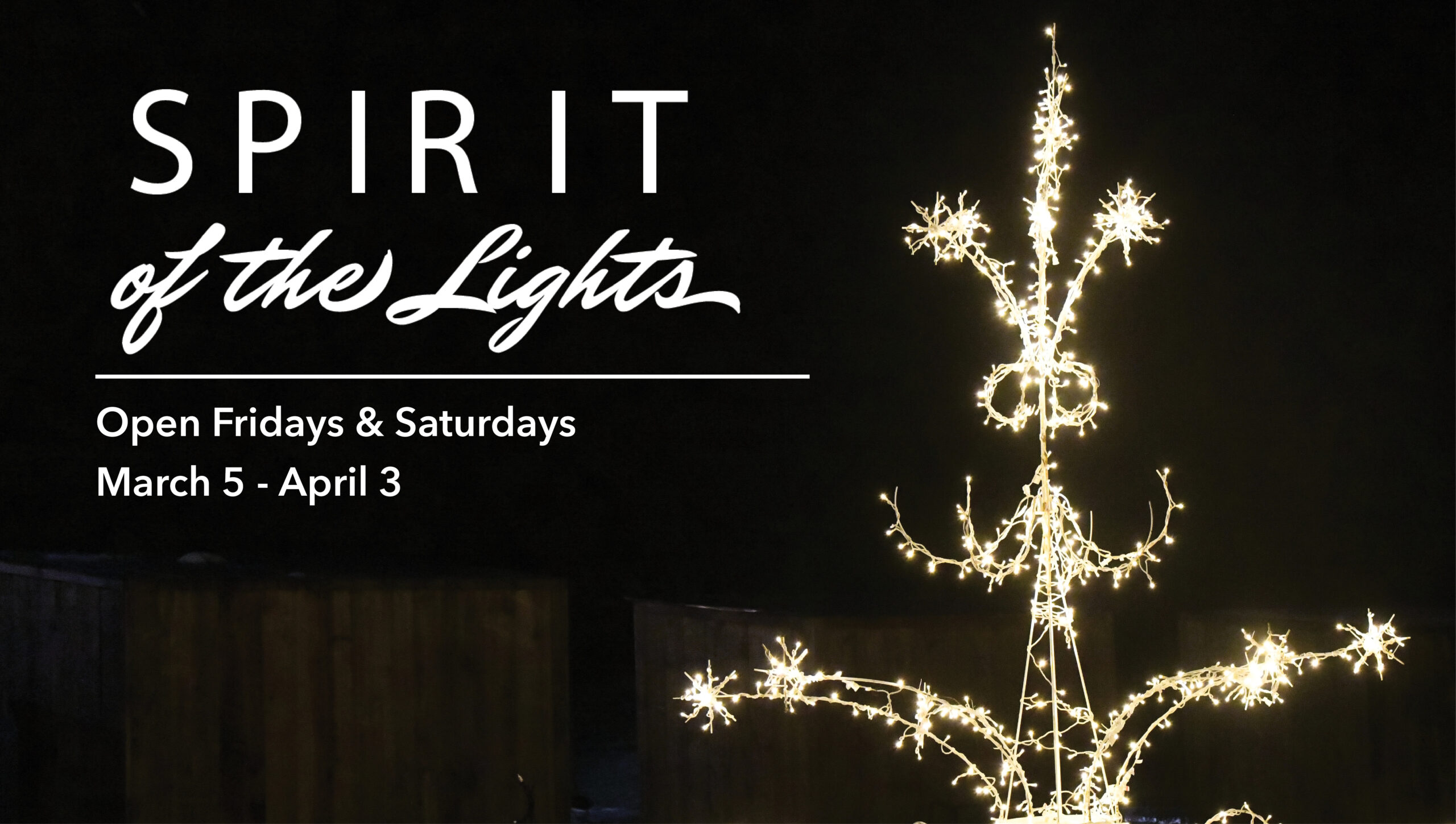 Marcia Hales Christmas Lights 2023 Spirit of the Lights Glensheen
