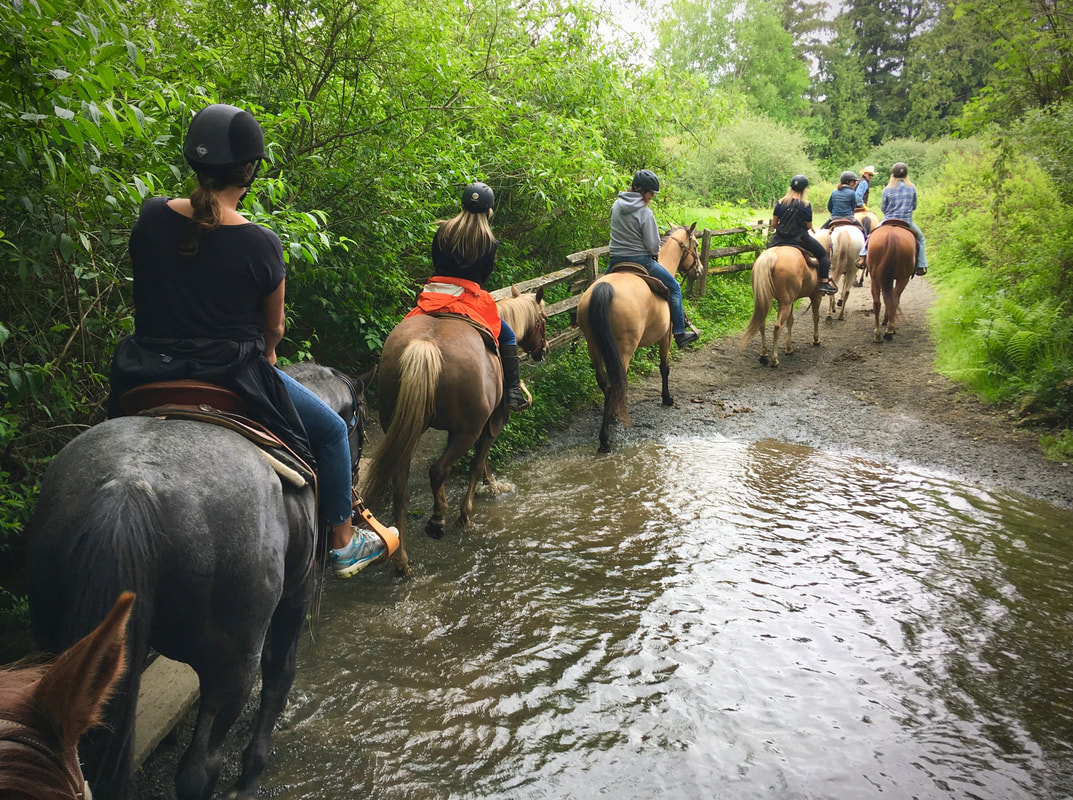 Glen Valley Stables Vancouver's Best Horseback Riding Experience!
