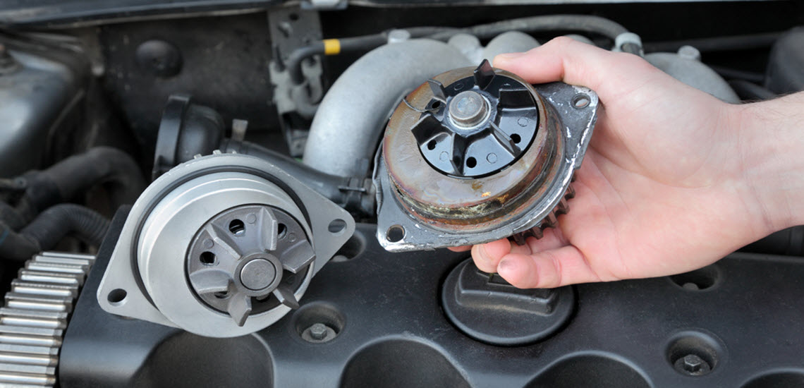 When Should You Replace the Water Pump in Land Rover Glenwood Foreign Car