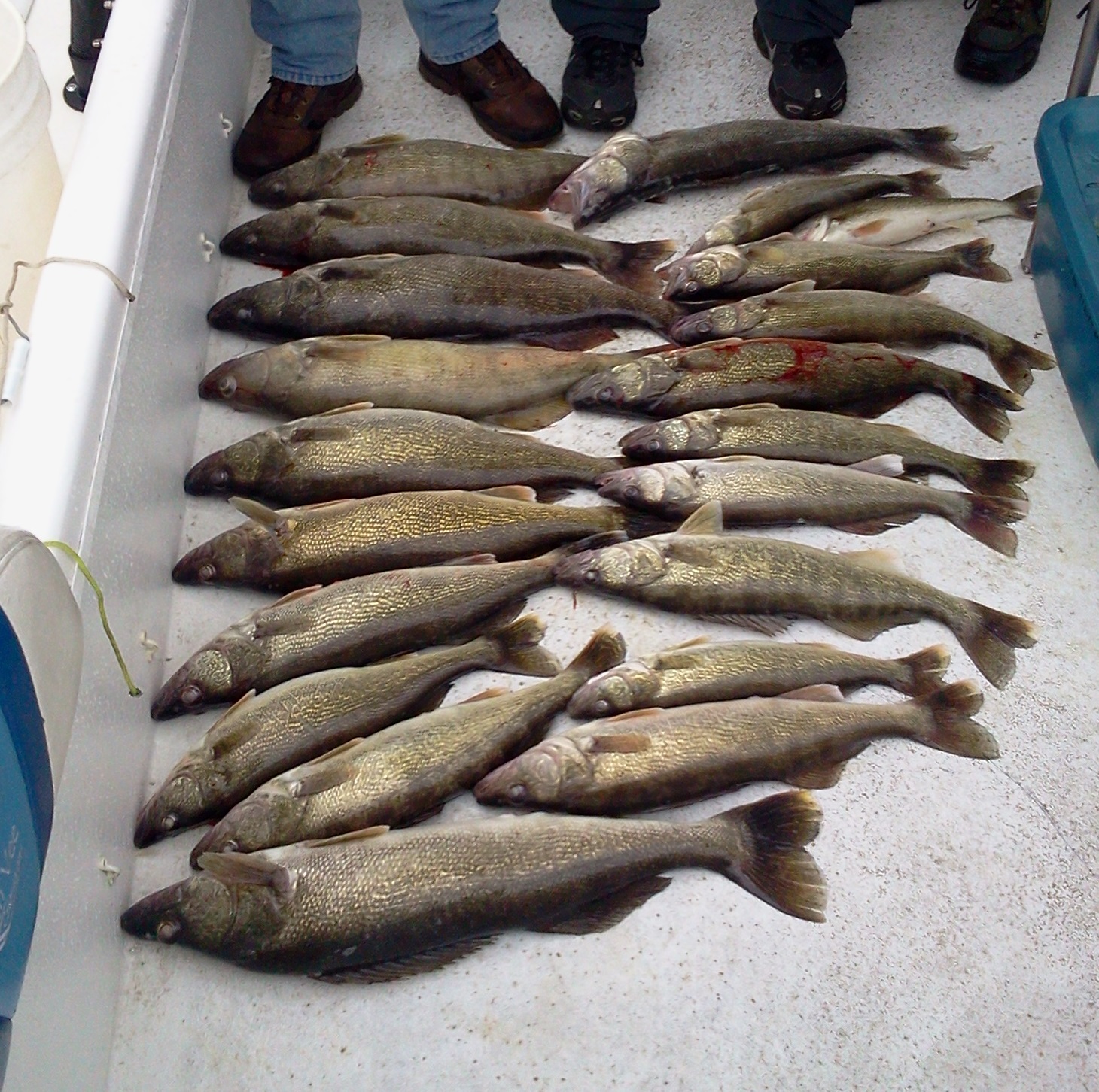 Great Lakes Fishing Charters LLC