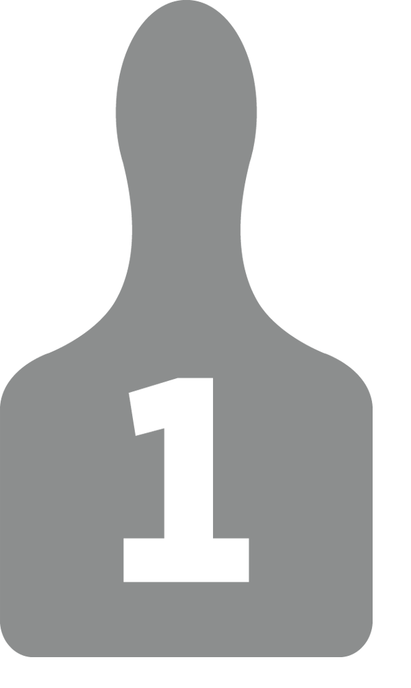 Stepping Stone Paint Color From PPG Glidden Glidden