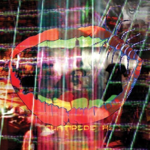 Animal Collective Centipede Hz Glide Magazine
