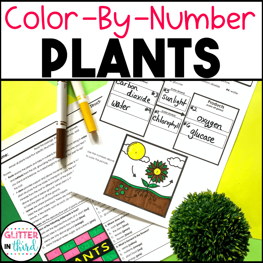 Plants & Photosynthesis Worksheets ColorByNumber Glitter in Third