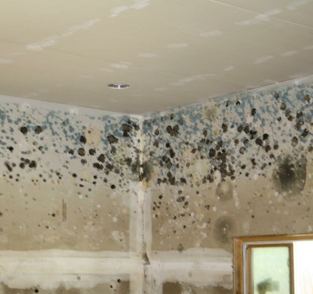 How to Effectively Eliminate Damp Smell? Global Clean