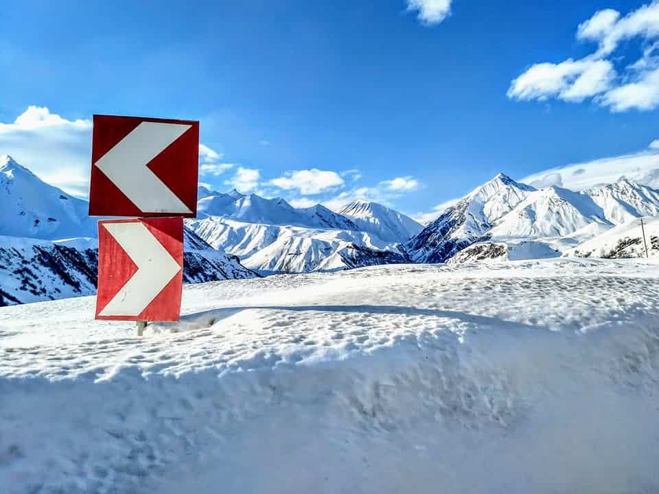 Reasons to Visit (The Country) in the Winter Global Goose