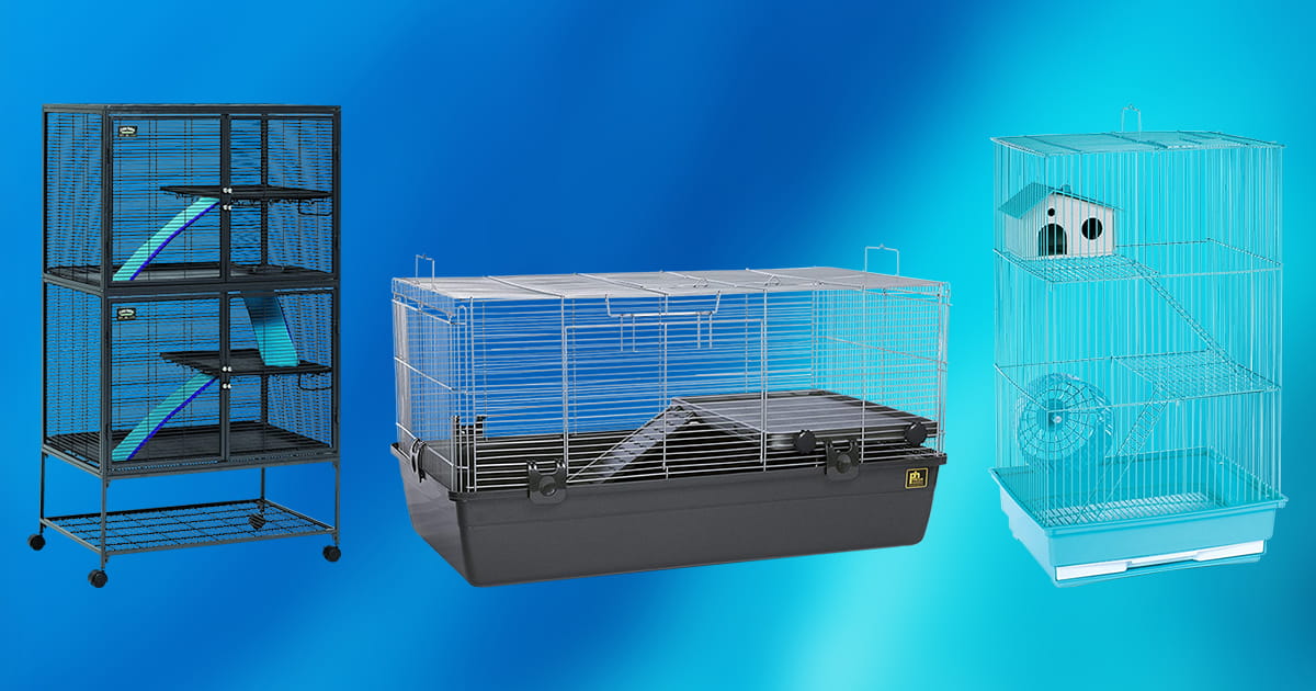 Geekwrapped 2020 Top 10 Chinchilla Containers (Buying Guide)