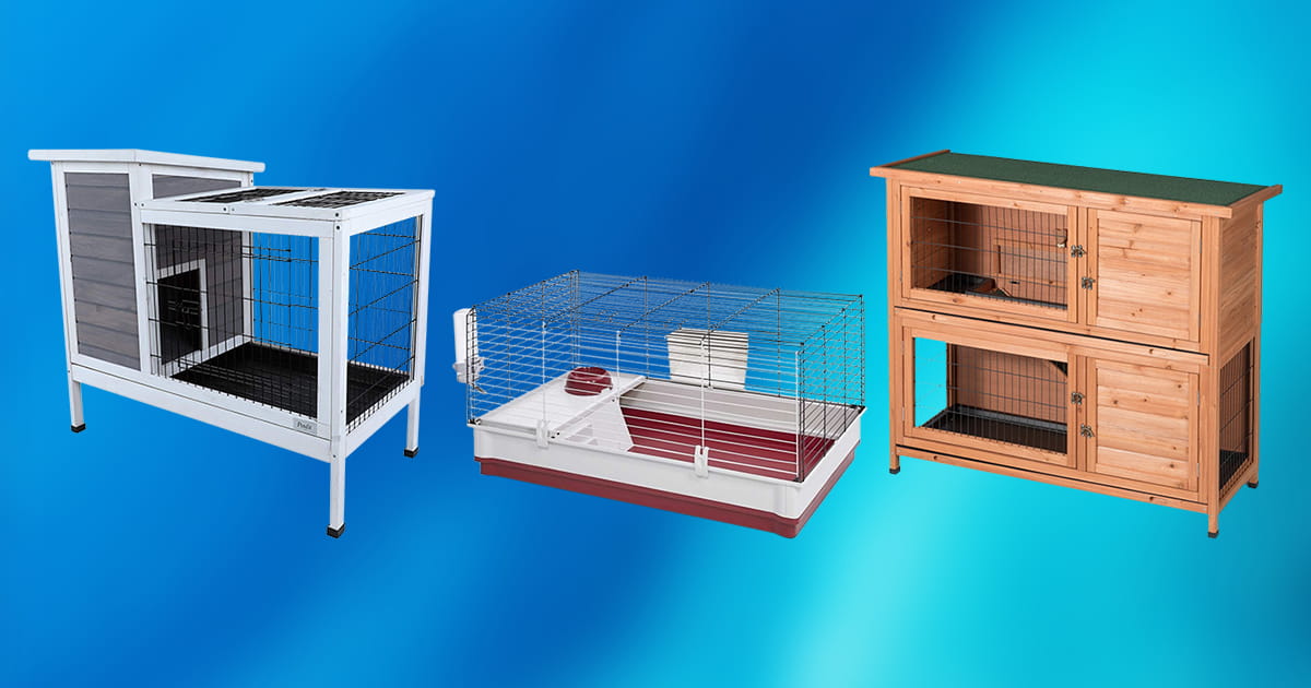 10 Best Indoor Rabbit Cages 2020 [Buying Guide] Geekwrapped