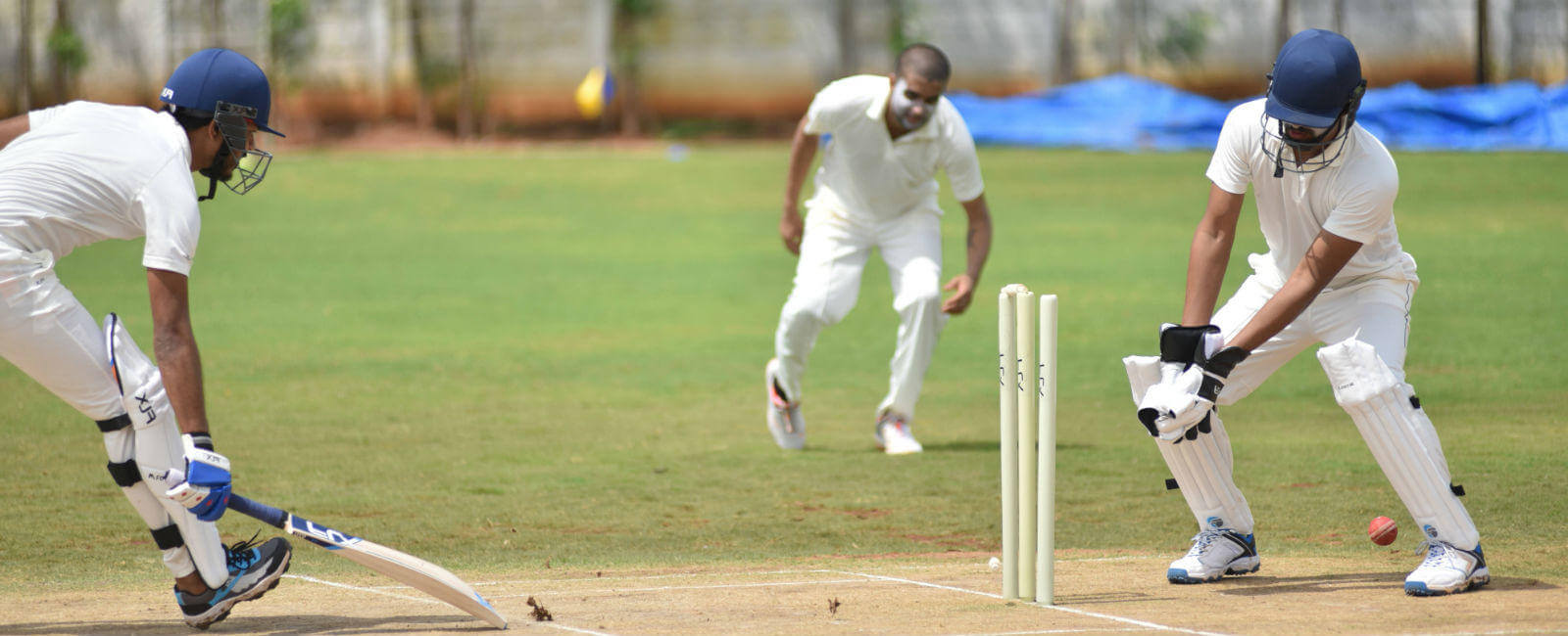 Cricket Everything You Need to Know About This Sport