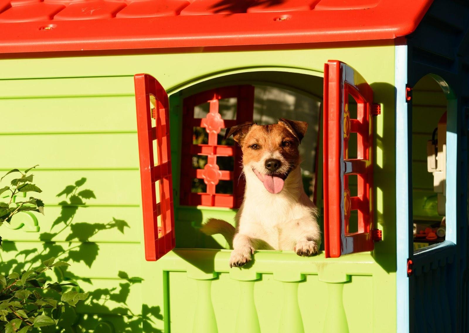 Climate Controlled Dog House Keep Your Furry Friend Cool & Comfortable