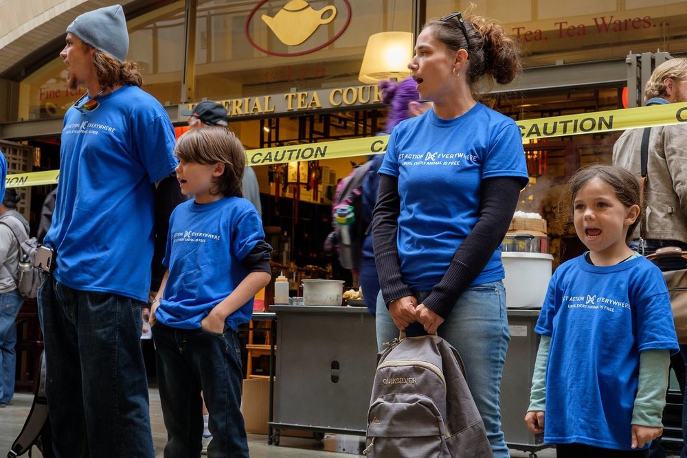 Animal Rights Activist Profile That Vegan Activist Family