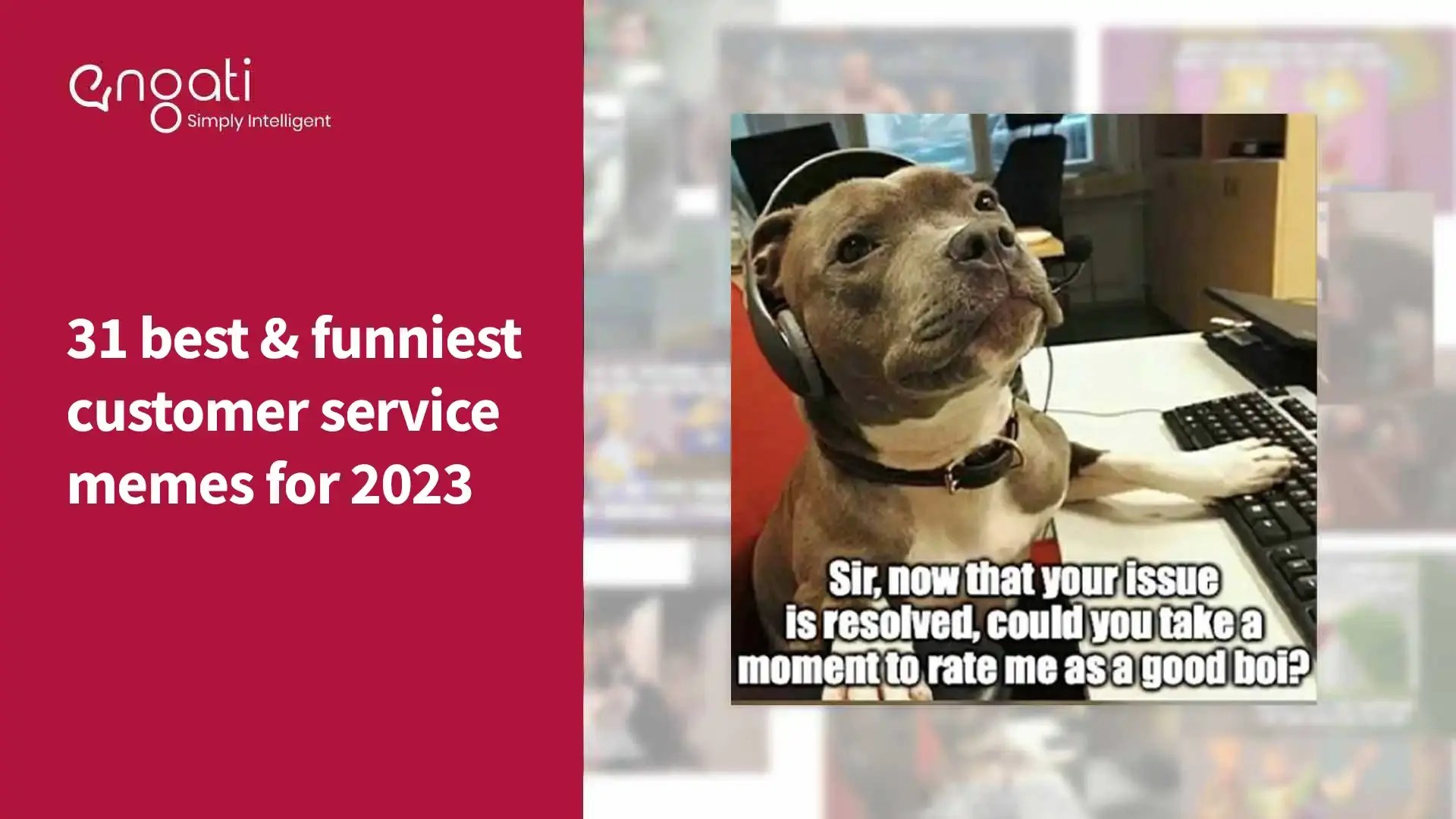 😂 31 best & funniest customer service memes for 2023 Engati