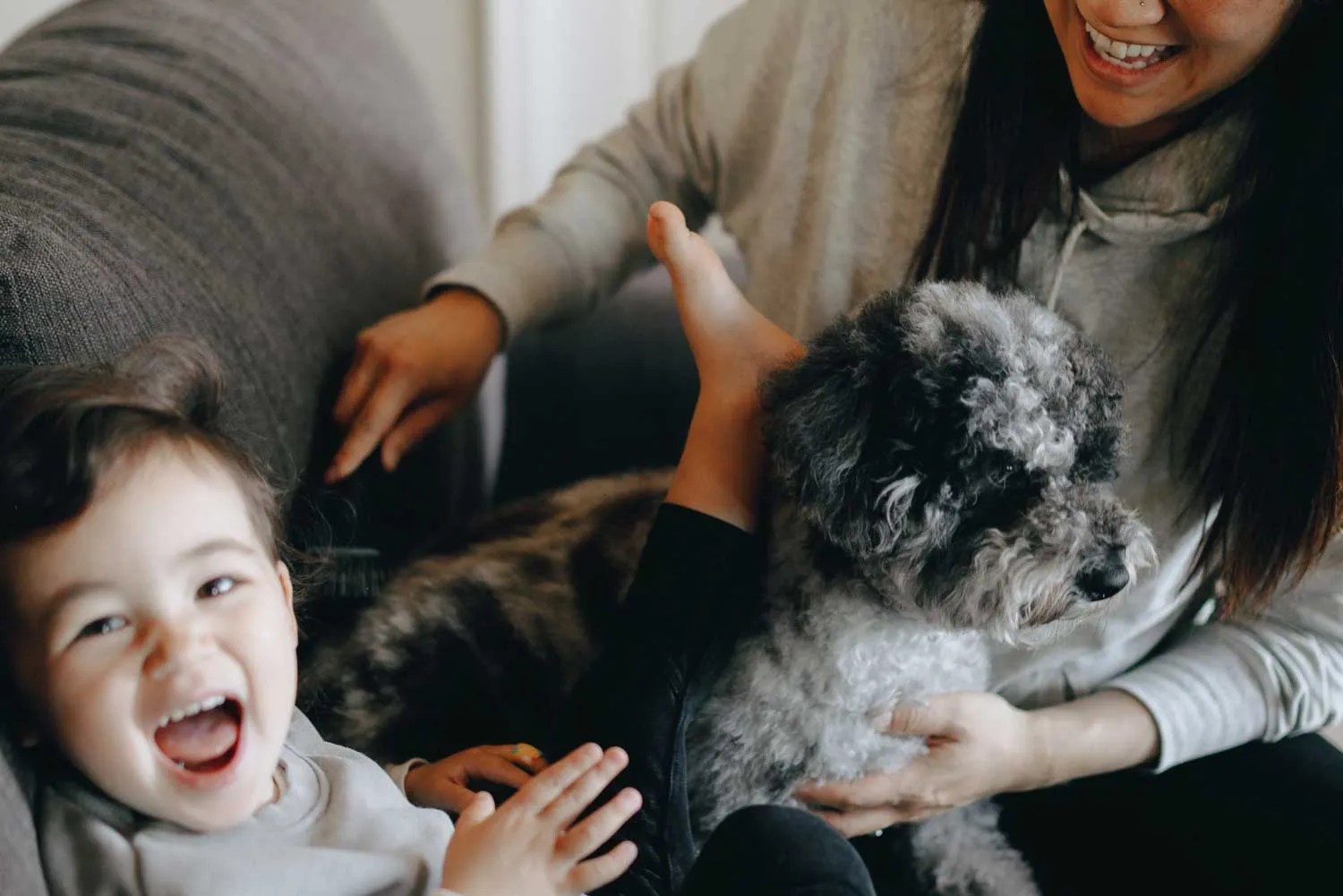 Michigan Emotional Support Animal (ESA) Laws for 2023 Pettable