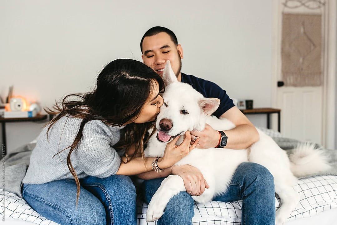 Oyen Malaysia's Best Pet Insurance Provider