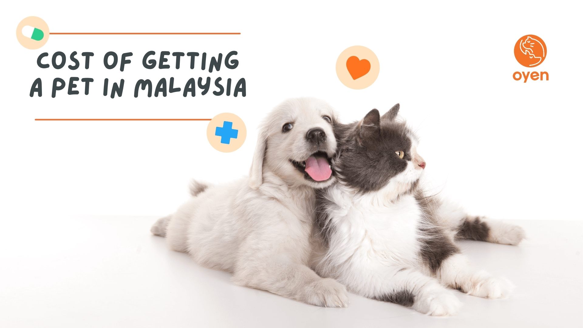 Pet Insurance Blog Oyen Pet Insurance