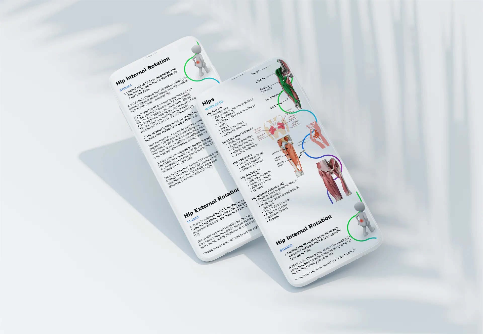 Mobility Training & Low Back Pain Course Flow Motion Fitness